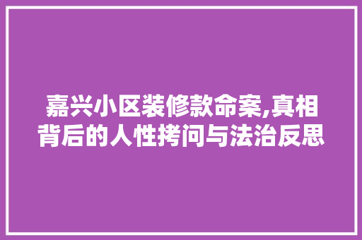 嘉兴小区装修款命案,真相背后的人性拷问与法治反思(嘉兴房子装修)