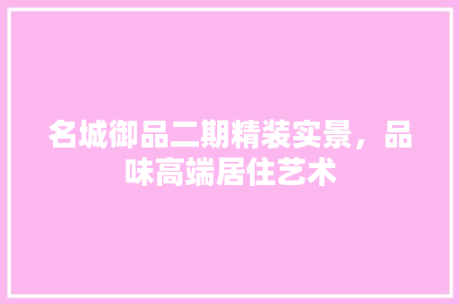 名城御品二期精装实景，品味高端居住艺术