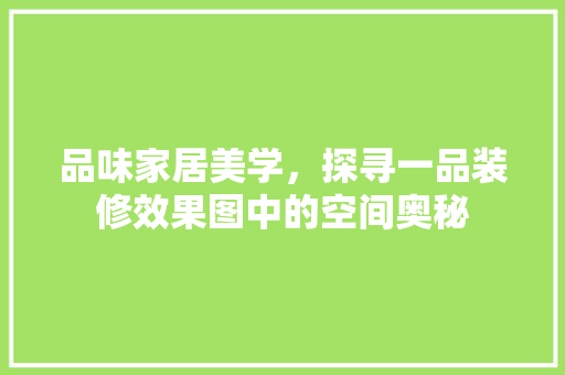 品味家居美学，探寻一品装修效果图中的空间奥秘