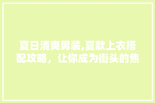 夏日清爽男装,夏款上衣搭配攻略，让你成为街头的焦点