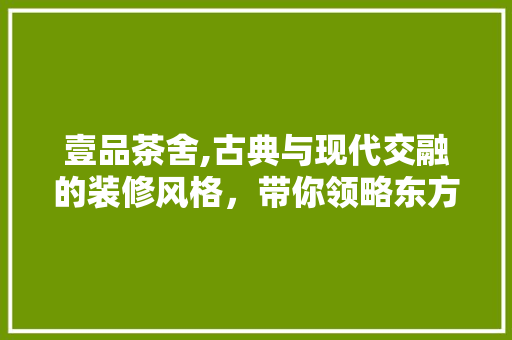 壹品茶舍,古典与现代交融的装修风格，带你领略东方韵味