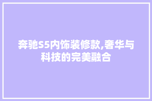 奔驰S5内饰装修款,奢华与科技的完美融合