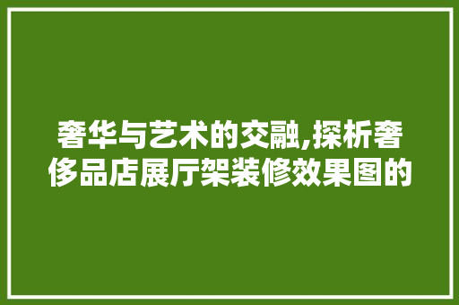 奢华与艺术的交融,探析奢侈品店展厅架装修效果图的艺术魅力(奢侈品展厅设计)