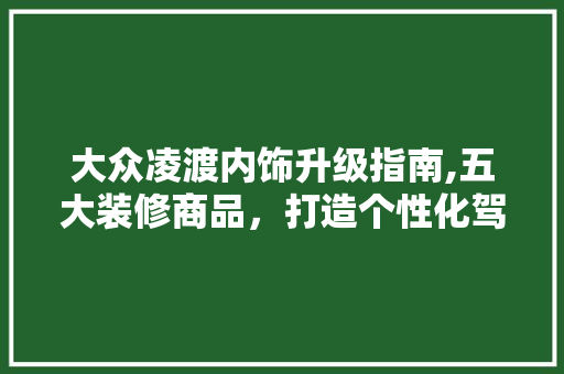 大众凌渡内饰升级指南,五大装修商品，打造个性化驾驶空间 大众凌渡内饰升级指南,五大装修商品，打造个性化驾驶空间 MI家公司推荐