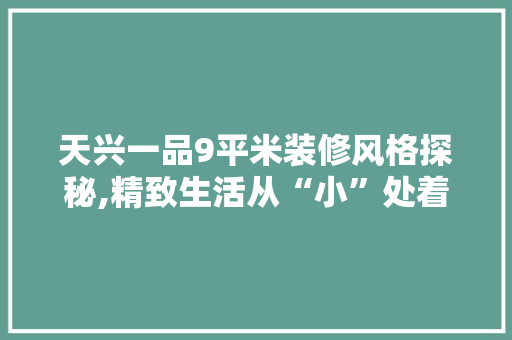 天兴一品9平米装修风格探秘,精致生活从“小”处着手