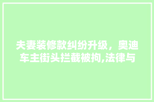 夫妻装修款纠纷升级，奥迪车主街头拦截被拘,法律与人情孰轻孰重