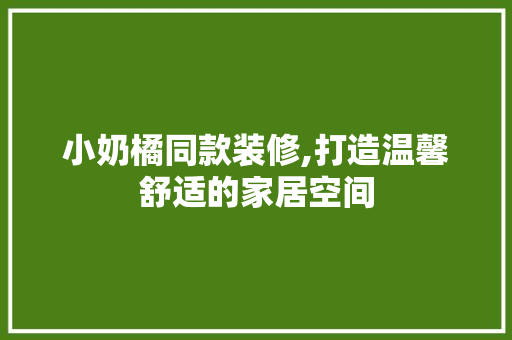 小奶橘同款装修,打造温馨舒适的家居空间