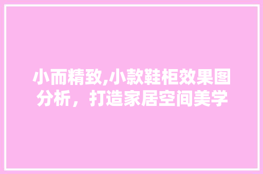 小而精致,小款鞋柜效果图分析，打造家居空间美学