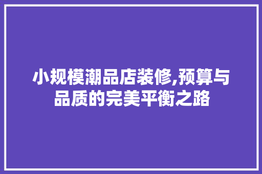 小规模潮品店装修,预算与品质的完美平衡之路 小规模潮品店装修,预算与品质的完美平衡之路 MI家公司推荐