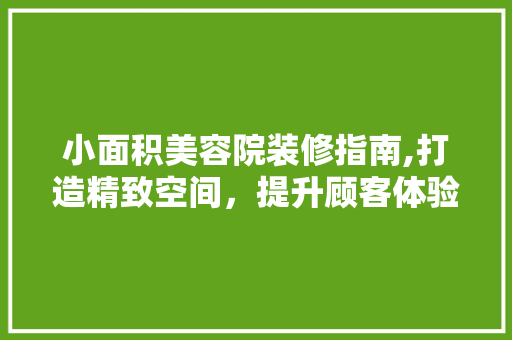 小面积美容院装修指南,打造精致空间，提升顾客体验