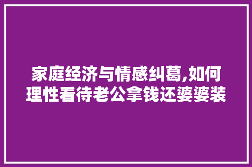 家庭经济与情感纠葛,如何理性看待老公拿钱还婆婆装修款 家庭经济与情感纠葛,如何理性看待老公拿钱还婆婆装修款 MI家装修经验