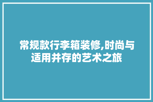 常规款行李箱装修,时尚与适用并存的艺术之旅