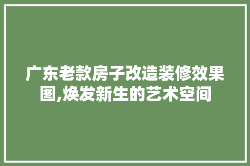 广东老款房子改造装修效果图,焕发新生的艺术空间