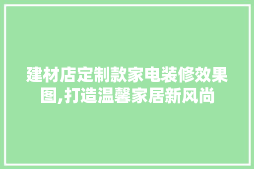 建材店定制款家电装修效果图,打造温馨家居新风尚