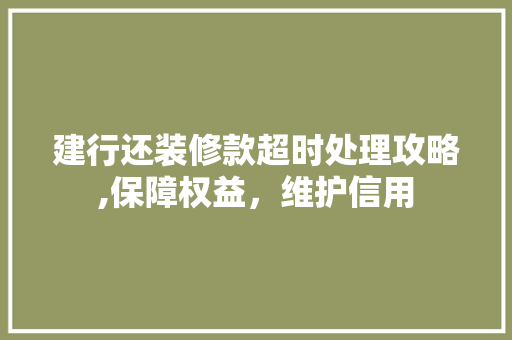 建行还装修款超时处理攻略,保障权益，维护信用