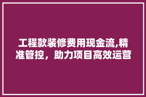 工程款装修费用现金流,精准管控，助力项目高效运营