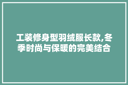 工装修身型羽绒服长款,冬季时尚与保暖的完美结合(工装羽绒服怎么搭配)