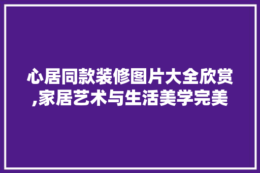 心居同款装修图片大全欣赏,家居艺术与生活美学完美融合