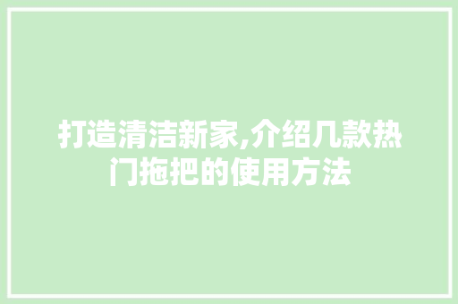 打造清洁新家,介绍几款热门拖把的使用方法