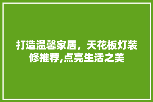 打造温馨家居，天花板灯装修推荐,点亮生活之美