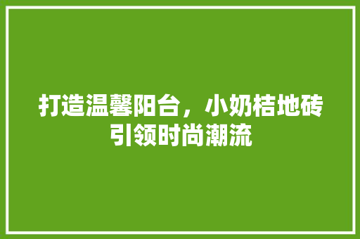 打造温馨阳台，小奶桔地砖引领时尚潮流