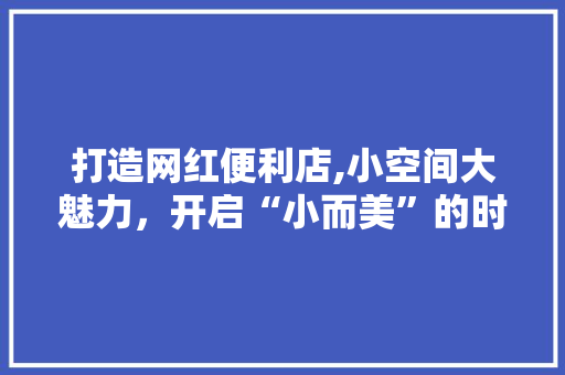 打造网红便利店,小空间大魅力，开启“小而美”的时尚生活