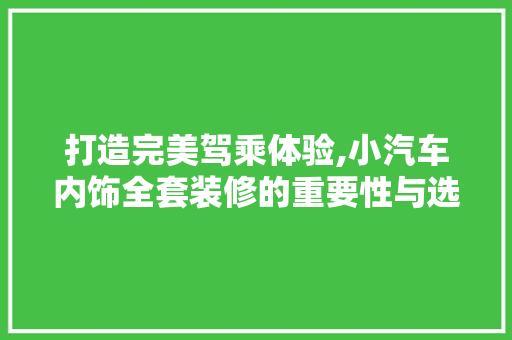 打造完美驾乘体验,小汽车内饰全套装修的重要性与选择指南
