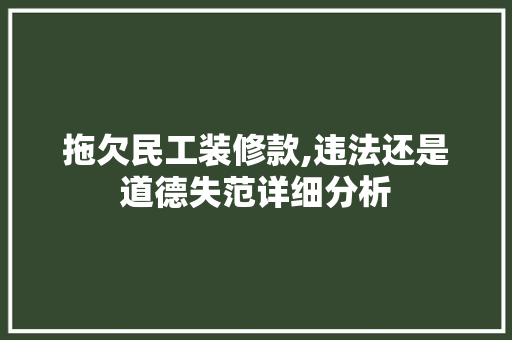 拖欠民工装修款,违法还是道德失范详细分析