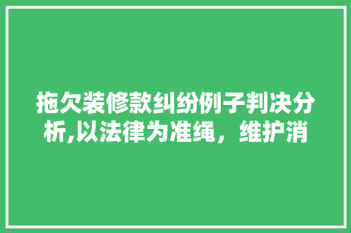 拖欠装修款纠纷例子判决分析,以法律为准绳，维护消费者权益