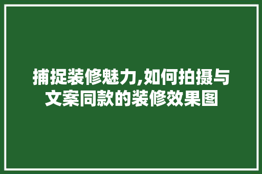 捕捉装修魅力,如何拍摄与文案同款的装修效果图