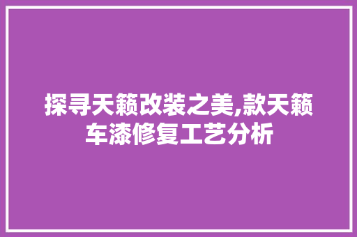 探寻天籁改装之美,款天籁车漆修复工艺分析