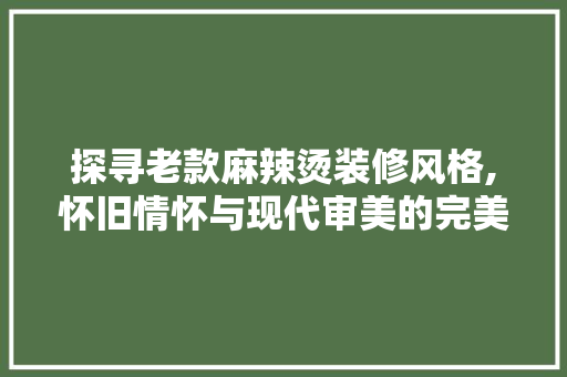 探寻老款麻辣烫装修风格,怀旧情怀与现代审美的完美融合(麻辣烫怀旧风格装修效果图)