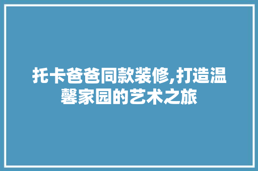 托卡爸爸同款装修,打造温馨家园的艺术之旅
