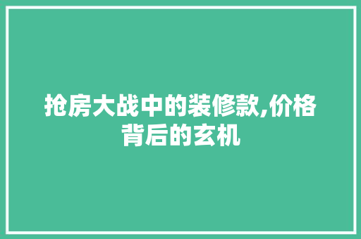 抢房大战中的装修款,价格背后的玄机
