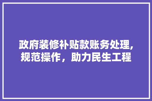 政府装修补贴款账务处理,规范操作，助力民生工程
