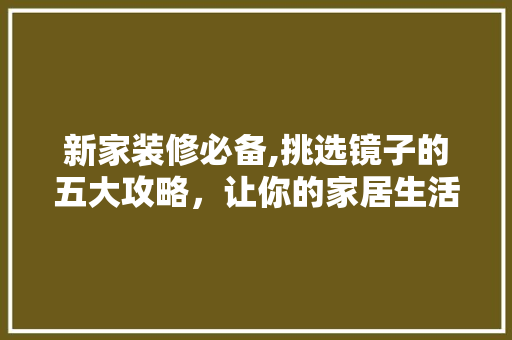新家装修必备,挑选镜子的五大攻略，让你的家居生活焕然一新