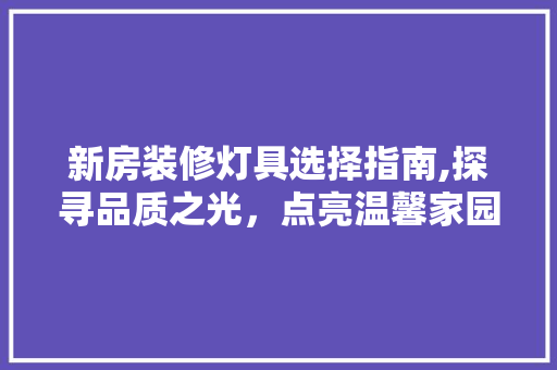 新房装修灯具选择指南,探寻品质之光，点亮温馨家园 新房装修灯具选择指南,探寻品质之光，点亮温馨家园 MI家装修经验