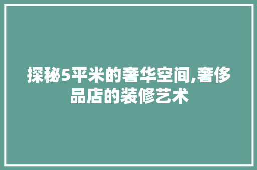 探秘5平米的奢华空间,奢侈品店的装修艺术