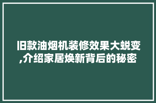 旧款油烟机装修效果大蜕变,介绍家居焕新背后的秘密 旧款油烟机装修效果大蜕变,介绍家居焕新背后的秘密 MI家装修攻略