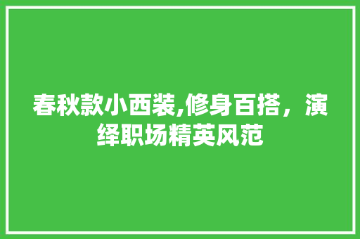 春秋款小西装,修身百搭，演绎职场精英风范 春秋款小西装,修身百搭，演绎职场精英风范 MI家设计指南