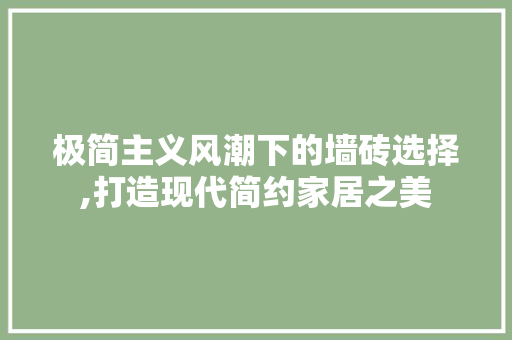 极简主义风潮下的墙砖选择,打造现代简约家居之美 极简主义风潮下的墙砖选择,打造现代简约家居之美 MI家装修攻略