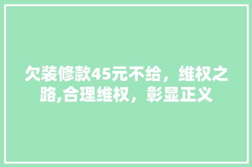 欠装修款45元不给，维权之路,合理维权，彰显正义 欠装修款45元不给，维权之路,合理维权，彰显正义 MI家装修攻略