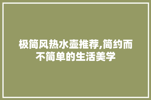 极简风热水壶推荐,简约而不简单的生活美学 极简风热水壶推荐,简约而不简单的生活美学 MI家设计指南