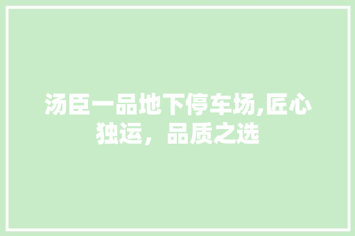 汤臣一品地下停车场,匠心独运，品质之选