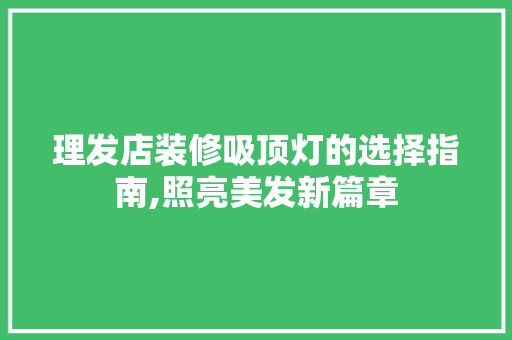 理发店装修吸顶灯的选择指南,照亮美发新篇章 理发店装修吸顶灯的选择指南,照亮美发新篇章 MI家公司推荐