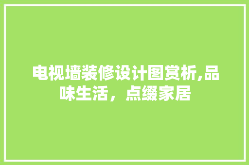 电视墙装修设计图赏析,品味生活，点缀家居 电视墙装修设计图赏析,品味生活，点缀家居 MI家装修经验