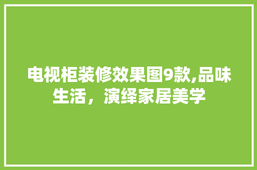 电视柜装修效果图9款,品味生活，演绎家居美学