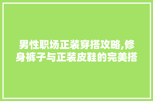 男性职场正装穿搭攻略,修身裤子与正装皮鞋的完美搭配 男性职场正装穿搭攻略,修身裤子与正装皮鞋的完美搭配 MI家公司推荐