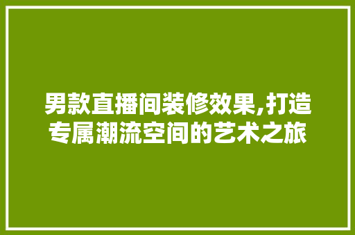 男款直播间装修效果,打造专属潮流空间的艺术之旅 男款直播间装修效果,打造专属潮流空间的艺术之旅 MI家装修经验
