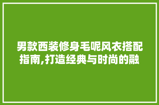 男款西装修身毛呢风衣搭配指南,打造经典与时尚的融合 男款西装修身毛呢风衣搭配指南,打造经典与时尚的融合 MI家设计百科